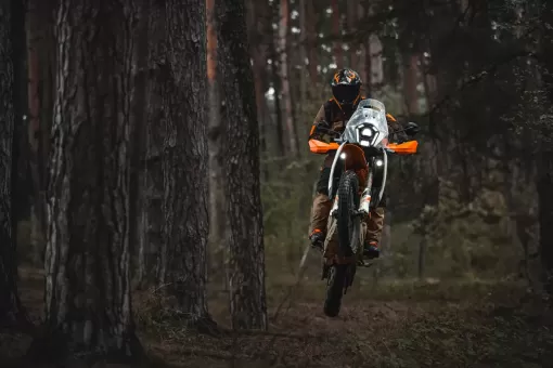 2025-ktm-390-adventure-r-5.jpg